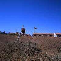 Sardegna 2007