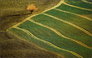 Giulia Del Ghianda - Campagna Marchigiana